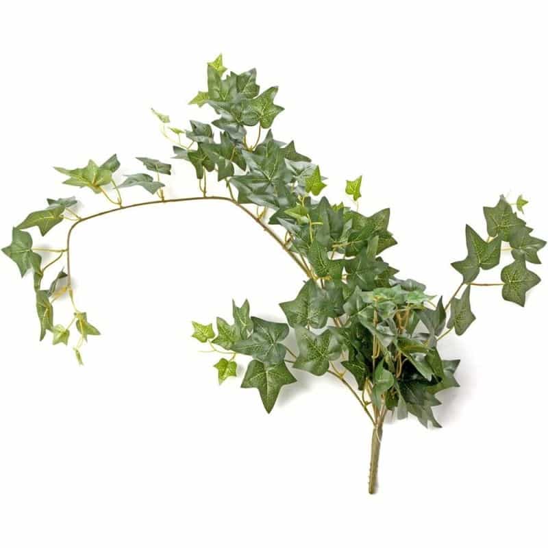Ivy Bush Green - 85cm