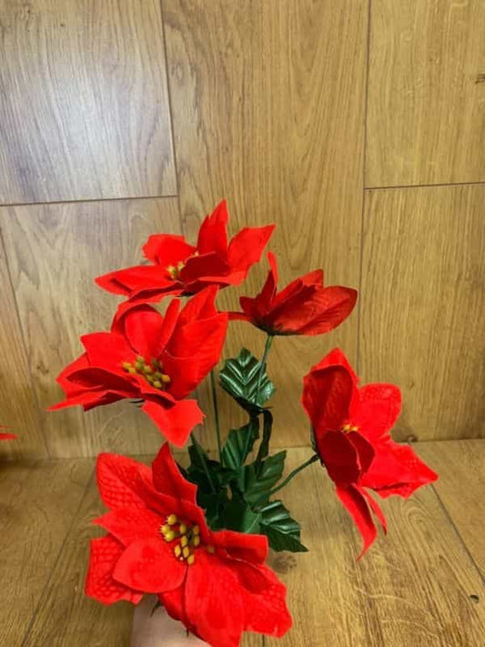 Red Poinsettia stem with 5 heads