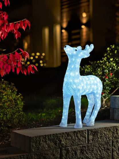 Acrylic Reindeer 60 cm