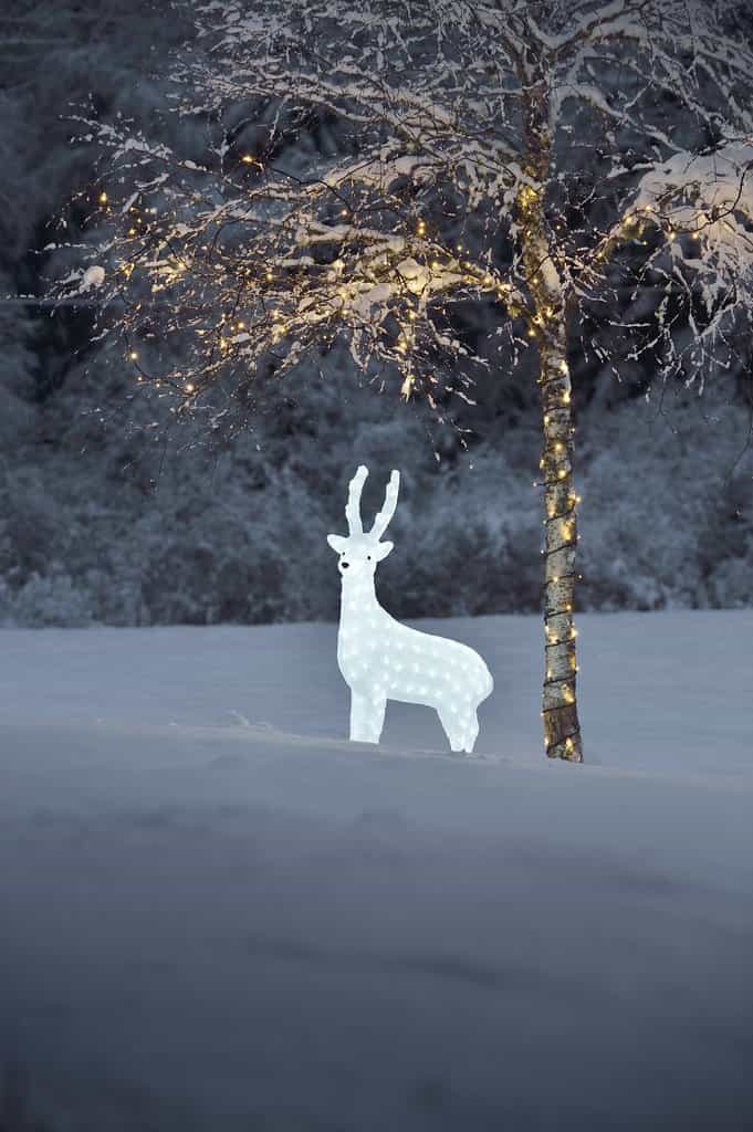 Acrylic Doe Reindeer 105 cm