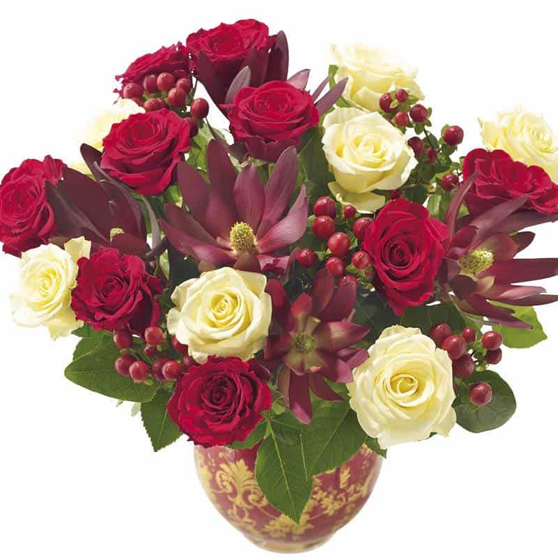 <p>This Festive selection of luxury Roses combining with seasonal hypericum berries and tropical leucadendron create a beautiful luxurious Bouquet. Absolutely beautiful for Christmas we've expertly hand-tied them in Christmas Red to create an amazing gift!</p>