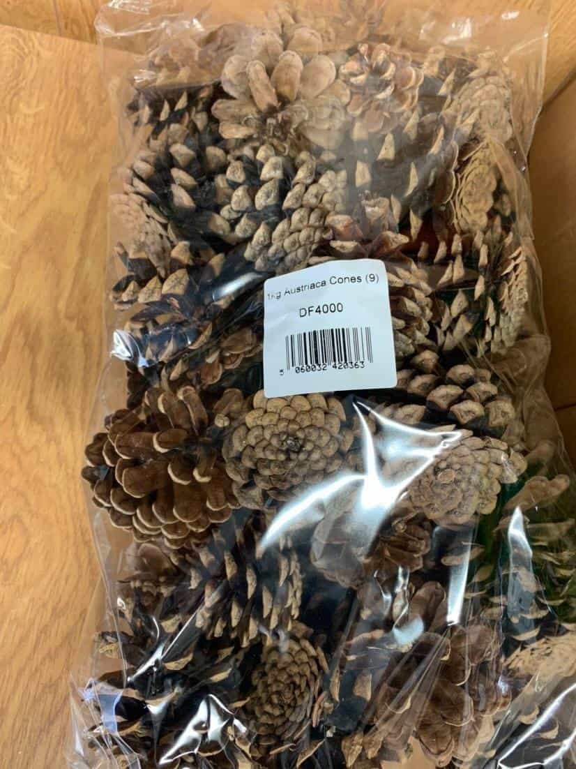 Assorted Bags of Pine Cones