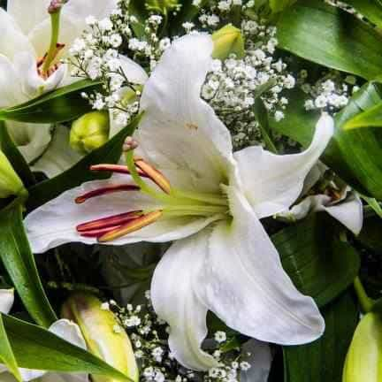 Mixed Lily & Rose Bouquet