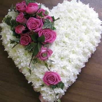 <p>A tribute to a love gone but not forgotten.</p><p>This beautiful heart shaped arrangement is finished here in a mass of white chrysanthemums with roses for effect. </p><p>Measuring approximately 35cm across this arrangement is ideal for the loss of loved one and can be finished in a range of colours and styles, simply contact us to personalise.</p>