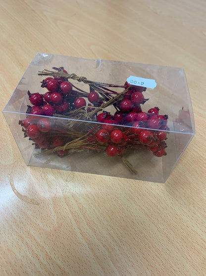 Hawthorn Berry’s