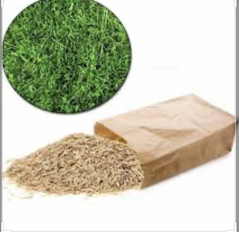 Grass Seed 1kg