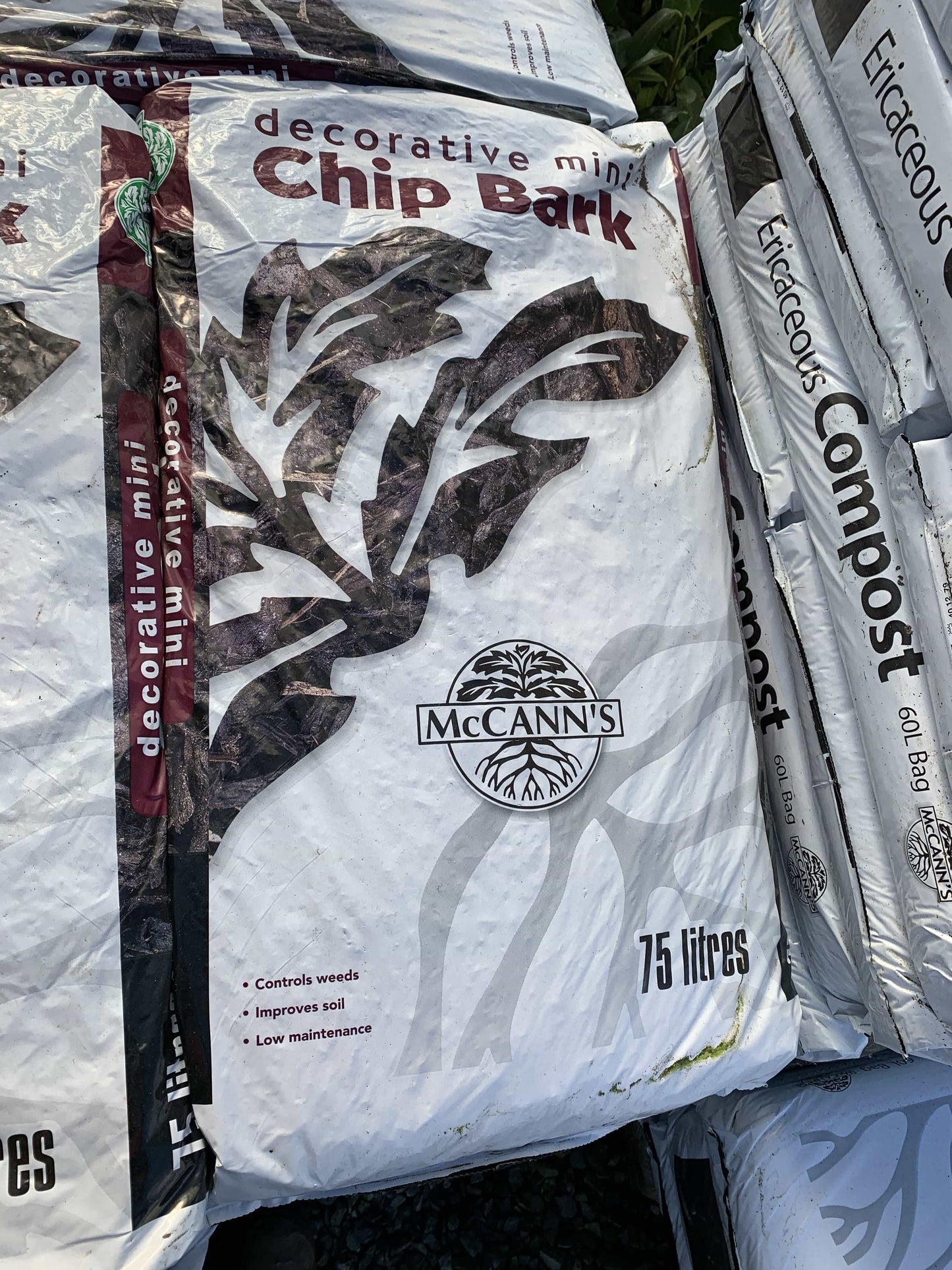 Bark Chip