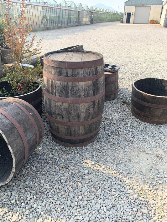 Pots - Full Beer Barrel