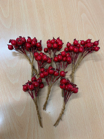 Hawthorn Berry’s