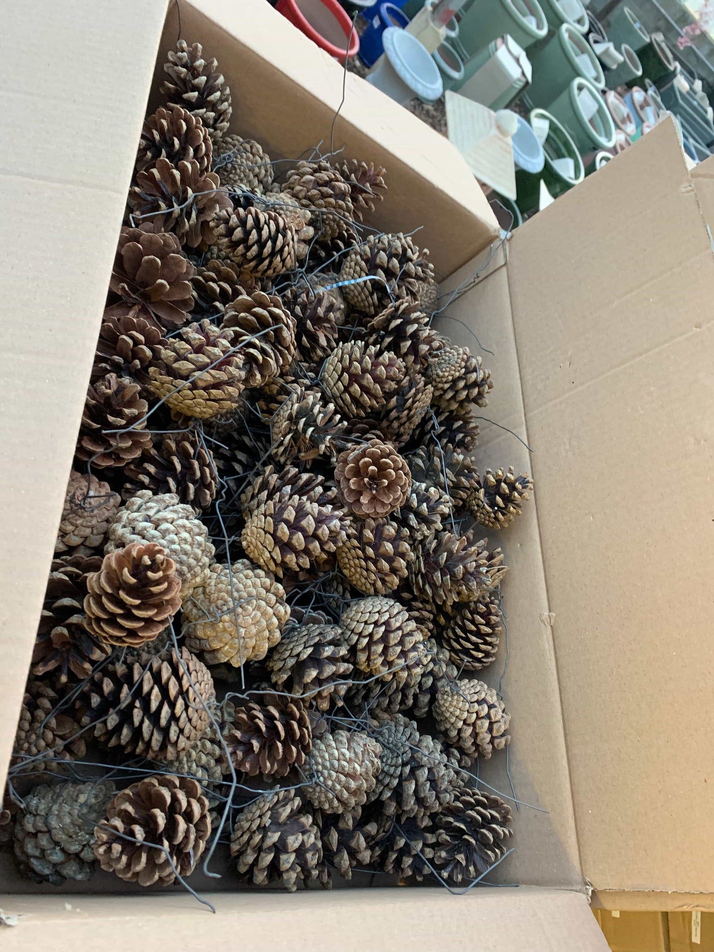Bags of Pine Cones
