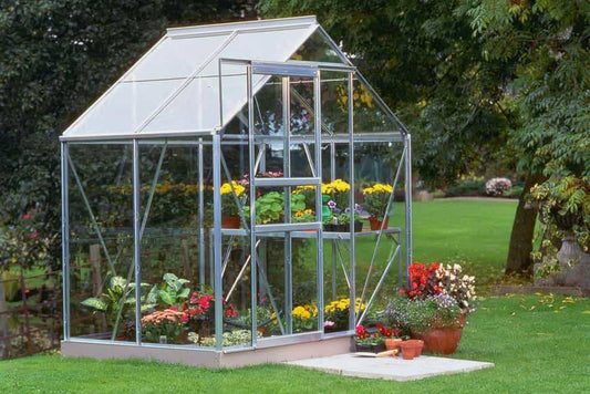 Popular Greenhouse