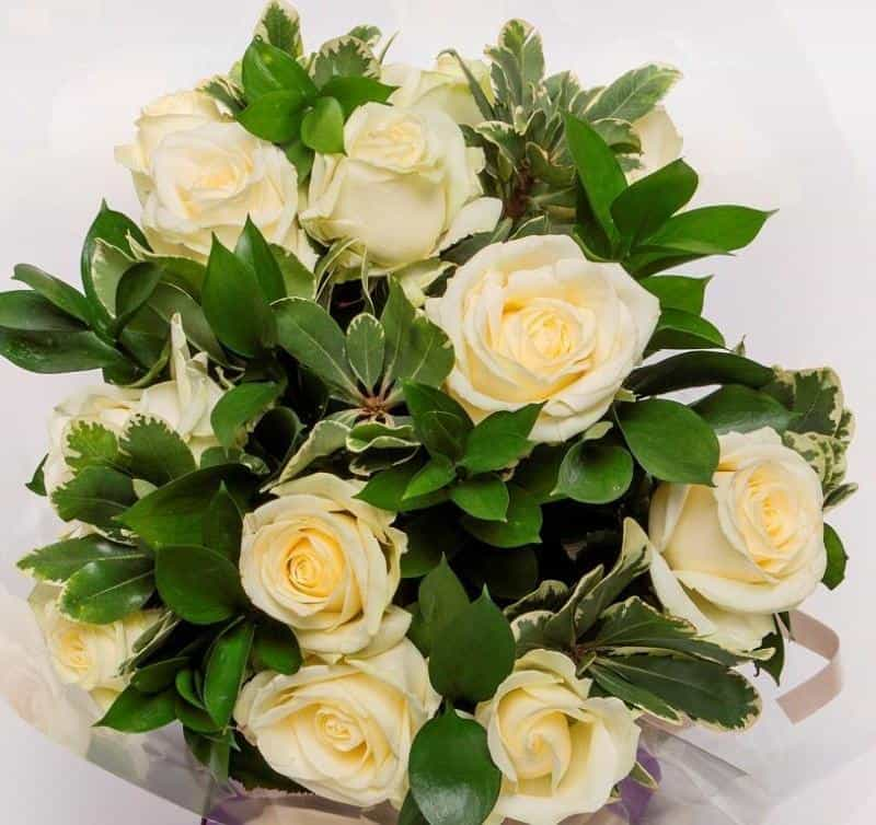 Dozen White Roses